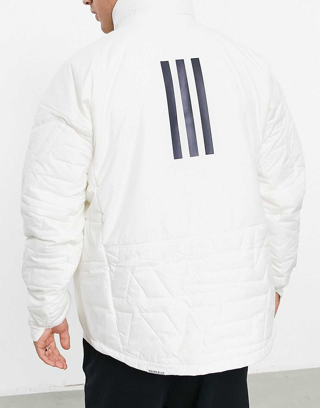 adidas Terrex Myshelter jacket in white