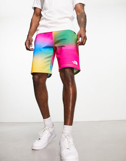 The North Face Pride Standard lightweight fleece shorts in rainbow gradient print