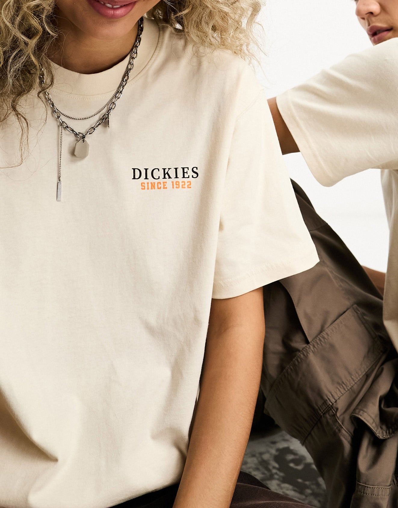 Dickies westmoreland t-shirt with back print in stone